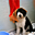 kikiritaAvatar de
