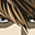 hiperrealAvatar de