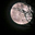 lunanegraAvatar de