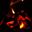 vetedecampingAvatar de