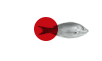 Pescado